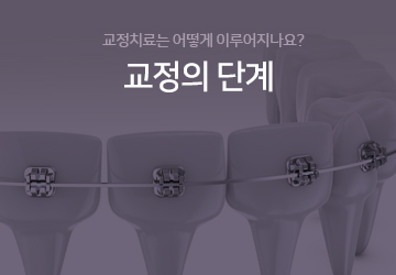 교정의단계